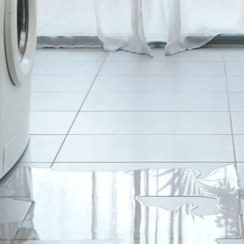 Appliance Leak Cleanup in Redwood, TX