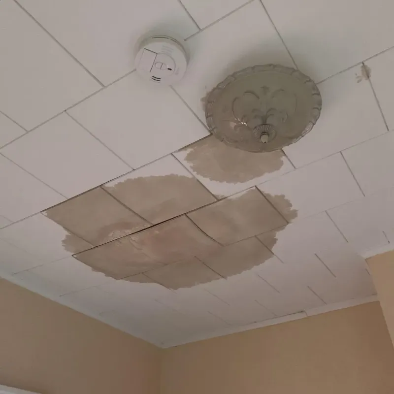 Ceiling Water Damage Repair in Redwood, TX