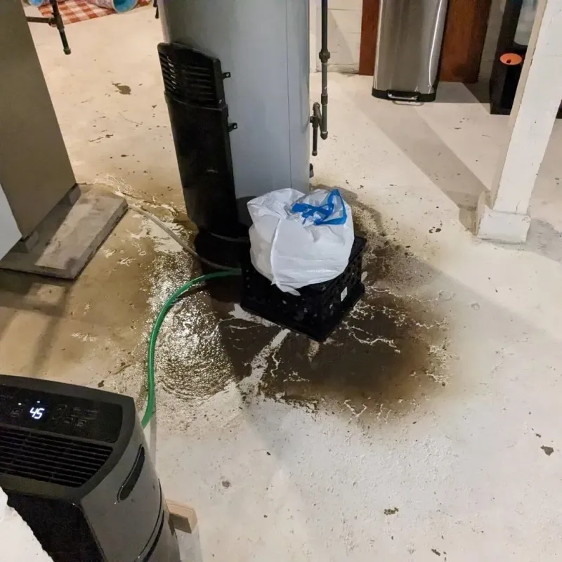 Sewage Backup Cleanup Service in Redwood, TX